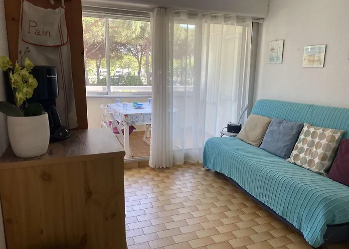 Apartmán Climatise, A 2 Pas, 4 Couchages, Parking Prive - Fr-1-250-193 Le Grau-du-Roi
